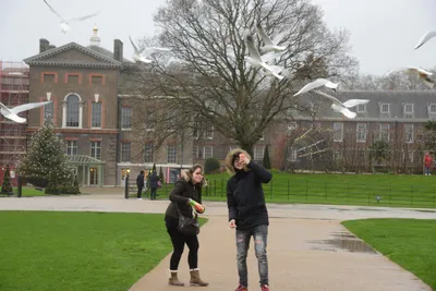 DSC_6215 (Large).JPG